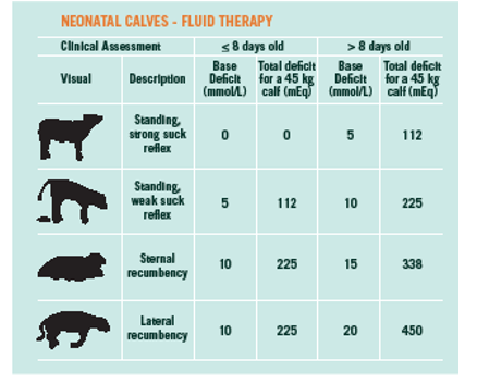 Stay on Top of Neonatal Calf Dehydration | Bovine Veterinarian